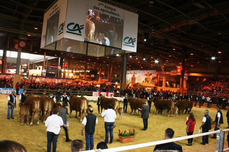 cga 2012 028.JPG